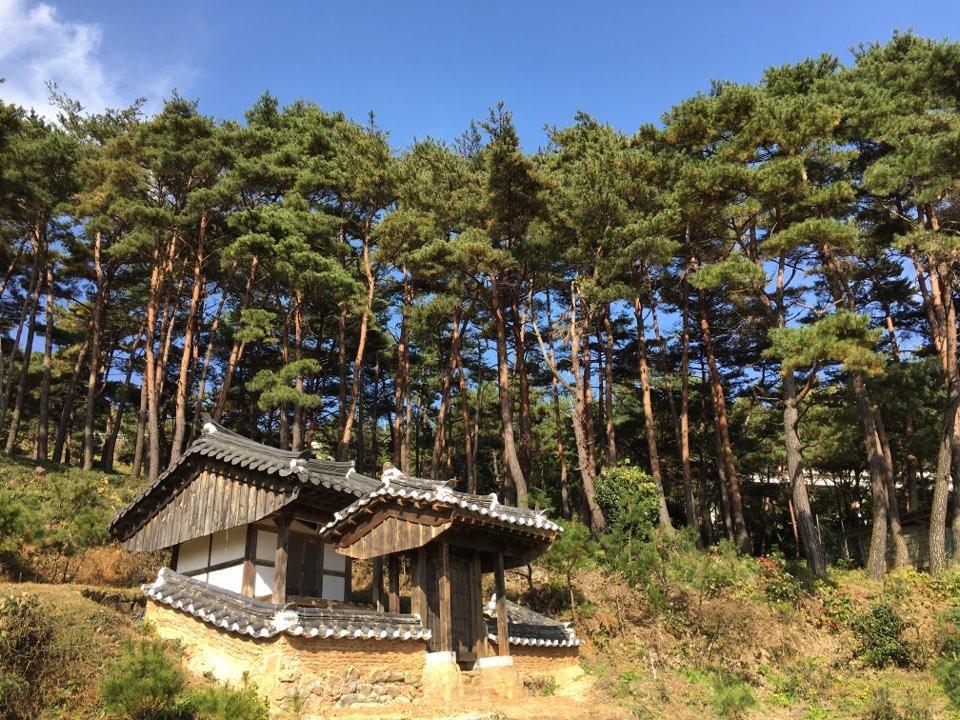 Hotel Korean Traditional House - Chungnokdang à Boseong Extérieur photo
