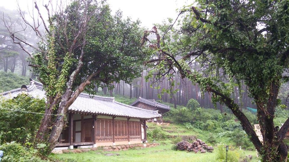Hotel Korean Traditional House - Chungnokdang à Boseong Extérieur photo